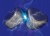 6d3cbca137bc5ee97bdd064074e2766e