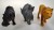 43cd6911d28b25ece5c236cb6c611a5a