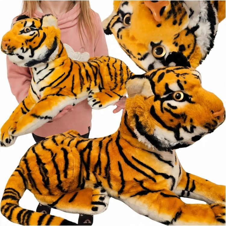 1487b03e81db834a23dcd09686abd1e9