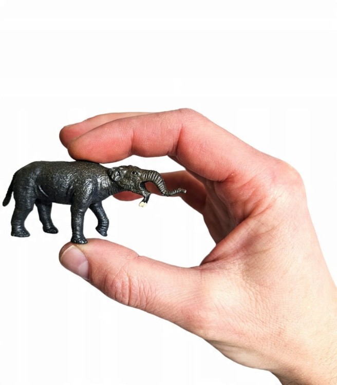 11b9733a8ea485219ca9f137d4477614