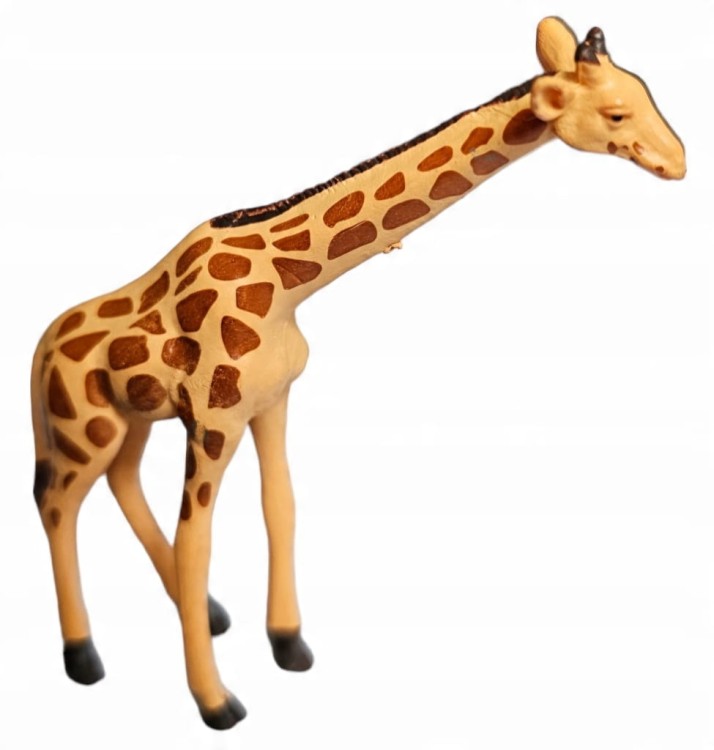 d0bf54f0c473260531ff24cf2851cf81